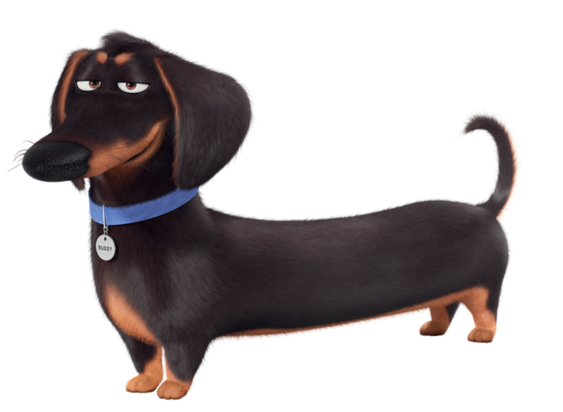 File:Buddy transparent.png