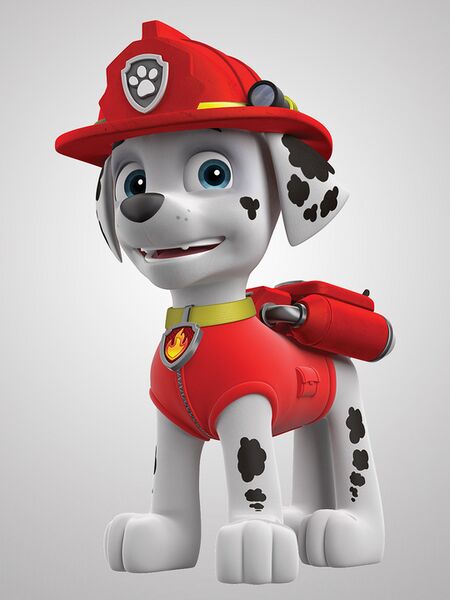 File:Paw-patrol-marshall.jpg