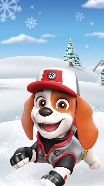 File:317438285 1202571207346918 2776472522299438209 n.jpg