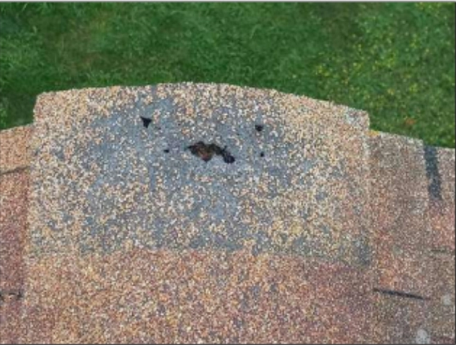 File:Damaged shingle making a funny face.PNG.webp