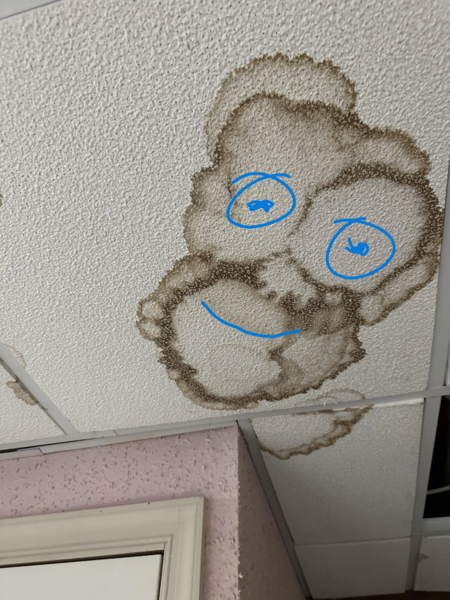 File:Ceiling stain face that now looks like a face (1).png