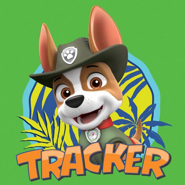 File:Tracker.jpg