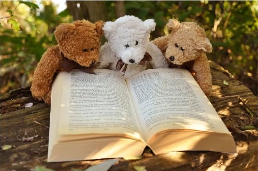 File:Ali three teddy bears reading a book.webp