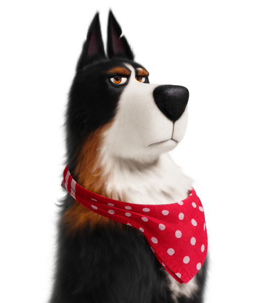 File:Pets Rooster1.png