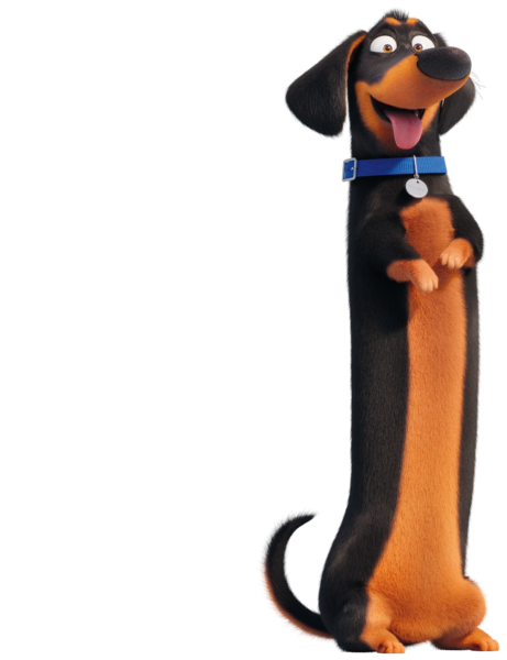 File:PETS2 cg-s buddy 02.png