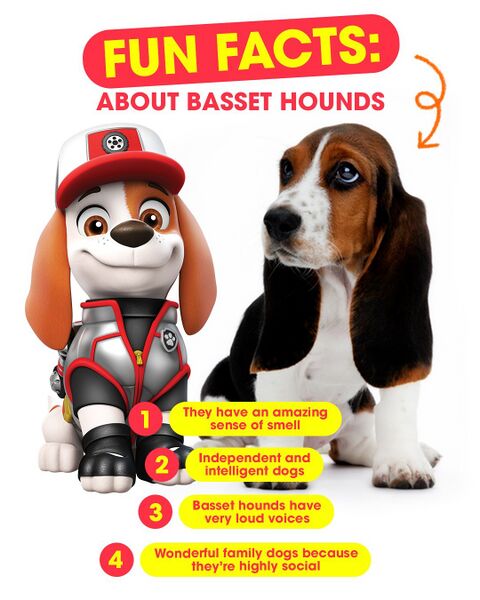 File:305538259 824569375210210 1886424691703741713 n.jpg