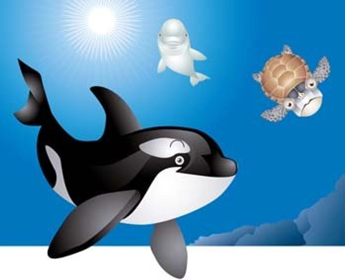 File:Killer-whale-3-44466.webp