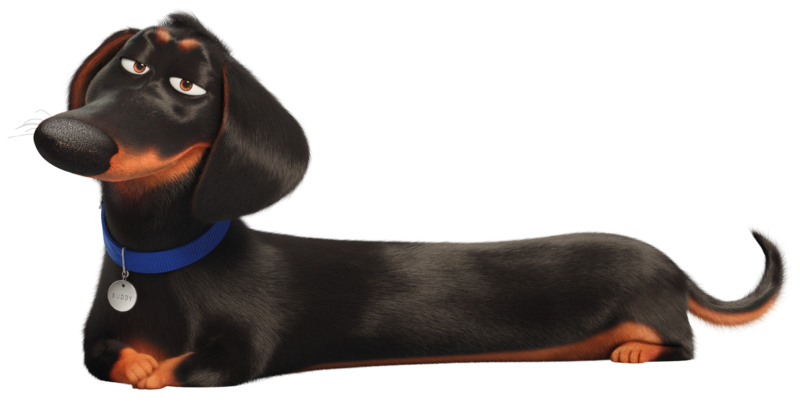 File:Pets2 cg s buddy 01 by lah2000 ddjg5f8-fullview.webp