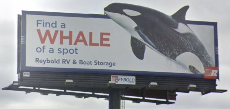 File:Find a whale of a spot.jpg
