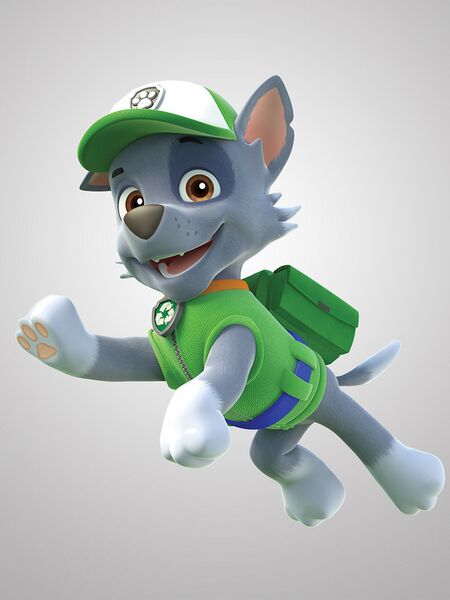 File:Paw-patrol-rocky.jpg